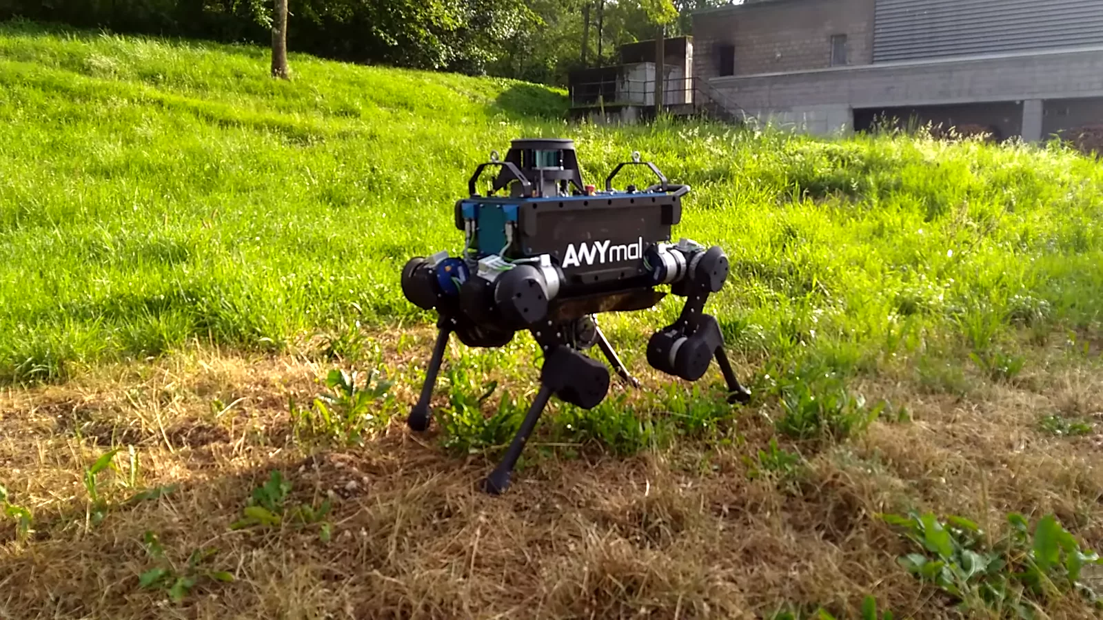 Perception and navigation for mixed-traffic AMRs, representative footage